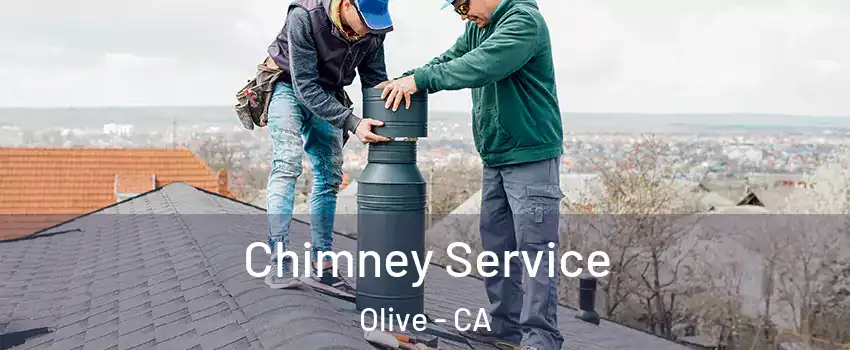 Chimney Service Olive - CA