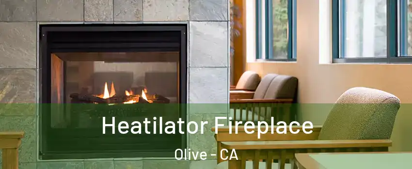 Heatilator Fireplace Olive - CA