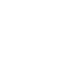 Professional Chimney Flue Installation in Orange, California